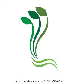 Logos of green Tree leaf ecology nature element vector