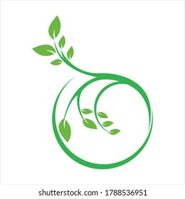 Logos of green Tree leaf ecology nature element vector