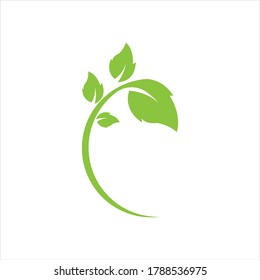 Logos of green Tree leaf ecology nature element vector
