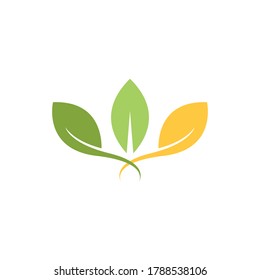 Logos of green Tree leaf ecology nature element vector