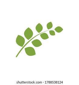 Logos of green Tree leaf ecology nature element vector