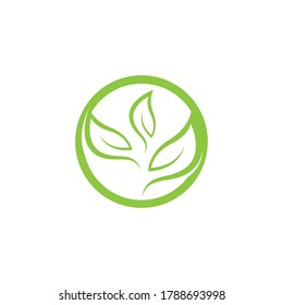 Logos of green Tree leaf ecology nature element vector