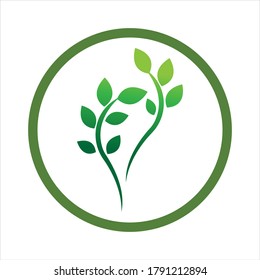 Logos of green Tree leaf ecology nature element vector