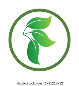 Logos of green Tree leaf ecology nature element vector