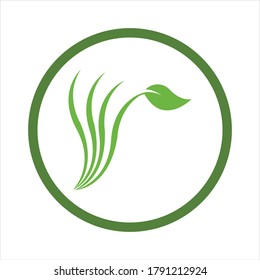 Logos of green Tree leaf ecology nature element vector