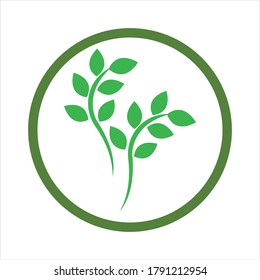 Logos of green Tree leaf ecology nature element vector