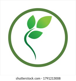 Logos of green Tree leaf ecology nature element vector
