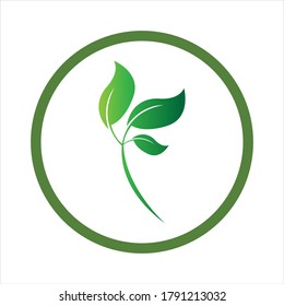 Logos of green Tree leaf ecology nature element vector