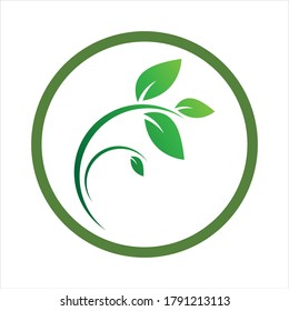 Logos of green Tree leaf ecology nature element vector