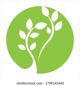 Logos of green Tree leaf ecology nature element vector