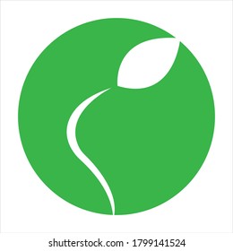 Logos of green Tree leaf ecology nature element vector