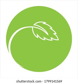 Logos von grünen Baumblätterökologie, Naturelement Vektorgrafik