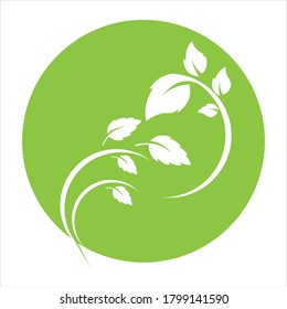 Logos of green Tree leaf ecology nature element vector