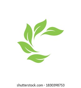 Logos of green Tree leaf ecology nature element vector
