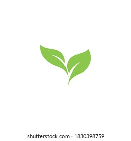 Logotipos de ecología de hoja de árbol verde elemento de naturaleza vector