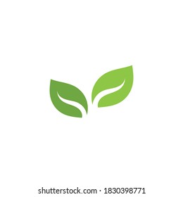 Logos of green Tree leaf ecology nature element vector