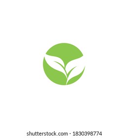 Logos of green Tree leaf ecology nature element vector