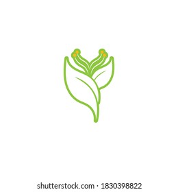 Logos of green Tree leaf ecology nature element vector