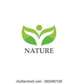 Logos of green Tree leaf ecology nature element vector