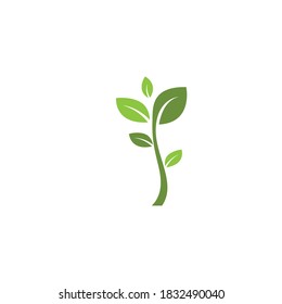Logotipos de ecología de hoja de árbol verde elemento de naturaleza vector