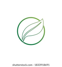 Logos of green Tree leaf ecology nature element vector