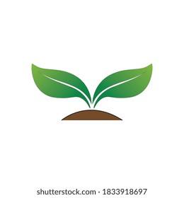 Logotipos de ecología de hoja de árbol verde elemento de naturaleza vector