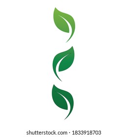 Logos of green Tree leaf ecology nature element vector