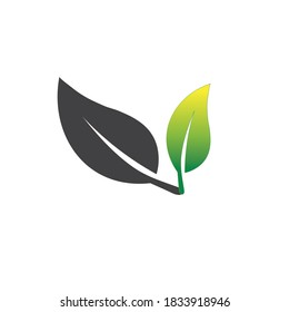Logos of green Tree leaf ecology nature element vector