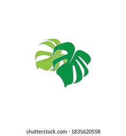 Logos of green Tree leaf ecology nature element vector