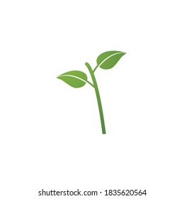 Logos of green Tree leaf ecology nature element vector