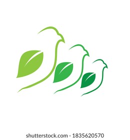 Logos of green Tree leaf ecology nature element vector