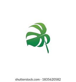 Logos of green Tree leaf ecology nature element vector