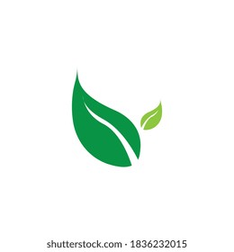 Logos von grünen Baumblätterökologie, Naturelement Vektorgrafik