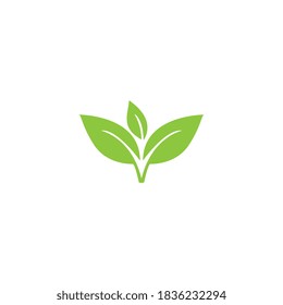 Logos of green Tree leaf ecology nature element vector