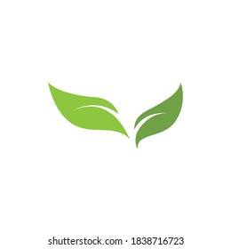 Logos of green Tree leaf ecology nature element vector