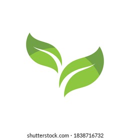 Logos of green Tree leaf ecology nature element vector