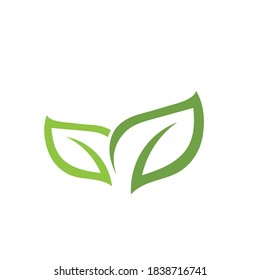 Logos of green Tree leaf ecology nature element vector