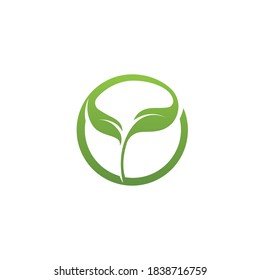 Logos of green Tree leaf ecology nature element vector