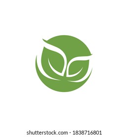 Logos of green Tree leaf ecology nature element vector