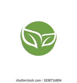 Logos of green Tree leaf ecology nature element vector
