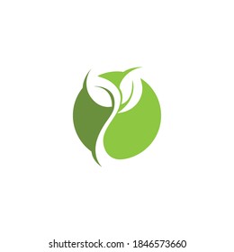 Logos of green Tree leaf ecology nature element vector