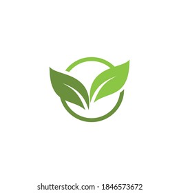 Logos of green Tree leaf ecology nature element vector