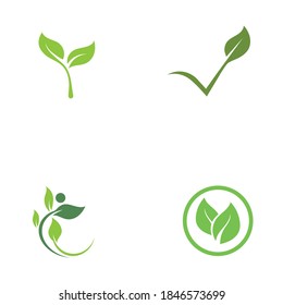 Logos of green Tree leaf ecology nature element vector