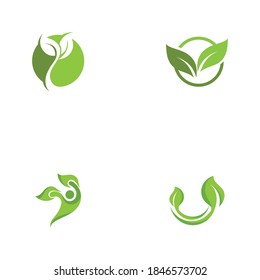 Logos of green Tree leaf ecology nature element vector