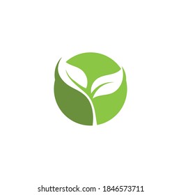 Logos of green Tree leaf ecology nature element vector