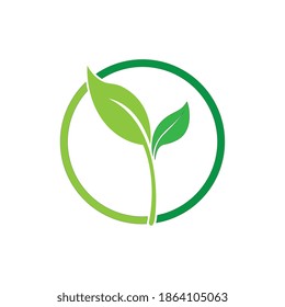 Logos of green Tree leaf ecology nature element vector