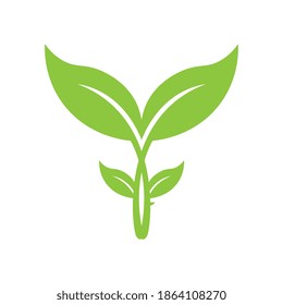 Logotipos de ecología de hoja de árbol verde elemento de naturaleza vector
