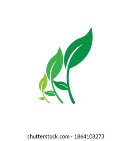 Logos of green Tree leaf ecology nature element vector