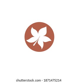 Logotipos de ecología de hoja de árbol verde elemento de naturaleza vector