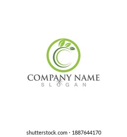 Logos of green Tree leaf ecology nature element vector